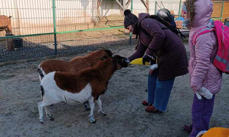 Zimní ekocentrum